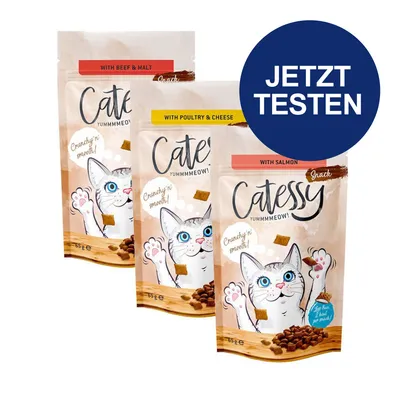 Catessy Snacks in drei Sorten: Rind & Malz, Geflügel & Käse, Lachs. Verpackung mit Katze und Hinweis 'Jetzt testen'. Inhalt pro Packung: 65g.