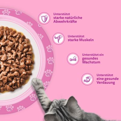 Multipack Whiskas Junior Frischebeutel 12 x 85 g