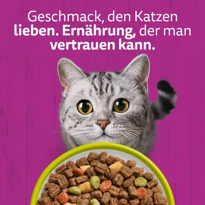 Whiskas Adult 1+ Katze Trockenfutter mit Lamm - Sparpaket: 2 x 800 g