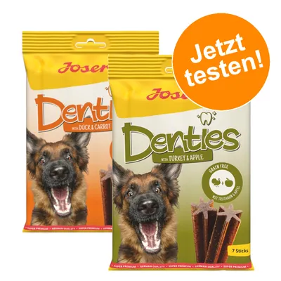 Josera Denties Hundesnacks, Varianten mit Ente & Karotte und Truthahn & Apfel, getreidefrei, 7 Sticks. Orangefarbener Kreis mit Text 'Jetzt testen!'.