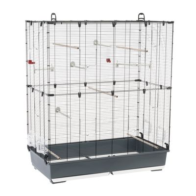 Large wire cage with multiple wooden perches, clear plastic feeders, and a deep plastic base, suitable for housing small animals or birds. No animals or accessories included.