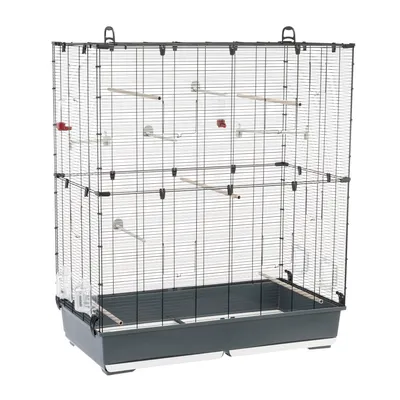Large wire cage with multiple wooden perches, clear plastic feeders, and a deep plastic base, suitable for housing small animals or birds. No animals or accessories included.
