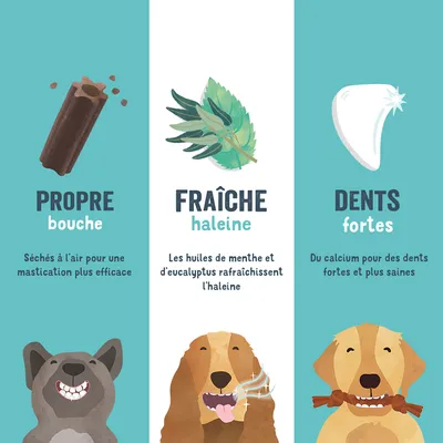 Illustration avec trois sections : dents propres grâce à des bâtonnets à mâcher séchés à l'air, haleine fraîche grâce aux huiles de menthe et d'eucalyptus, dents solides grâce au calcium. Des chiens montrent les résultats.