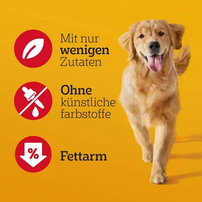 Teksti saksaksi: Mit nur wenigen Zutaten, Ohne künstliche farbstoffe, Fettarm. Kuvakkeet: lehti, pipetti, prosenttimerkki alaspäin nuolella. Keltainen tausta, koira.