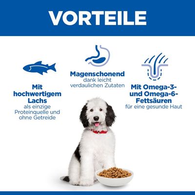 Hill's Science Plan Hypoallergenic Adult Large mit Lachs - Sparpaket: 2 x 14 kg