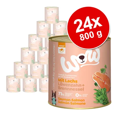 Lot de 24 boîtes WOW Saumon, 800 g chacune. Texte visible : Mit Lachs Löwenzahn + Brennnessel, 71 % poisson, 0 % céréales, ADULT. Illustration de saumon et plantes. Lot de 24 boîtes WOW Saumon, 800 g chacune. Texte visible : Mit Lachs Löwenzahn + Brennnessel, 71 % poisson, 0 % céréales, ADULT. Illustration de saumon et plantes.