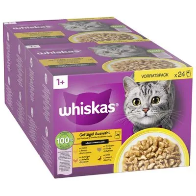 Ekonomipack: Whiskas 1+ Adult portionspåse 48 x 85 g - Klassiskt urval i sås