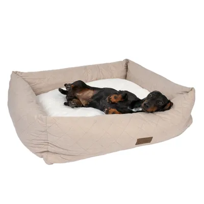 Panier pour chien rectangulaire beige avec coussin blanc, un chien noir et feu allongé à l'intérieur. Étiquette marron visible sur le devant du panier.