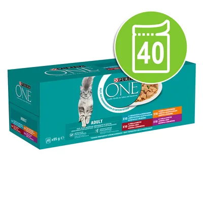 Purina ONE Adult cat food, 40 x 85g pouches, supports visible health with balanced nutrients.
