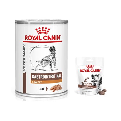 Royal Canin Vet Canine Gastrointestinal + 3 uds. GastroIntestinal Snacks ¡gratis!