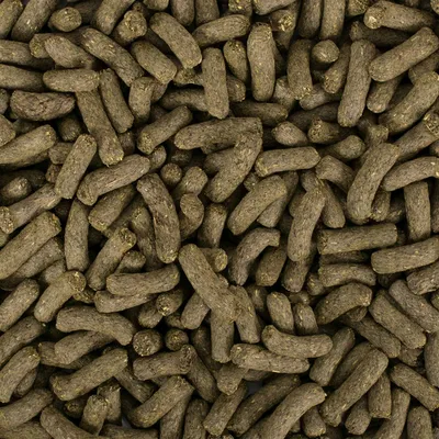 Närbild av bruna, pressade pellets. Produktbild av djurfoder utan synlig förpackning eller varumärkesinformation.