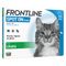 FRONTLINE Spot-On Chat 6 mois de protection (6 pipettes)