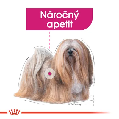 Ilustrace psa s dlouhou srstí, nad kterým je růžový nápis 'Náročný apetit'.