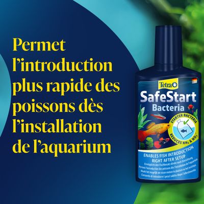 Tetra SafeStart Bouteille de bactéries. Permet une introduction plus rapide des poissons directement après l'installation de l'aquarium. Bactéries de démarrage, réduit le NH3 et le NO2.