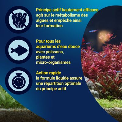 Description du produit : Principe actif empêchant la formation d’algues, adapté aux aquariums d’eau douce avec poissons, plantes et micro-organismes, action rapide grâce à une distribution optimale.