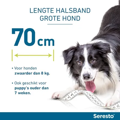 Seresto vlooien- en tekenband voor Grote honden (> 8 kg) (NL) > 8 kg (Halsband 70 cm) - Seresto vlooienhalsband voor honden - NL