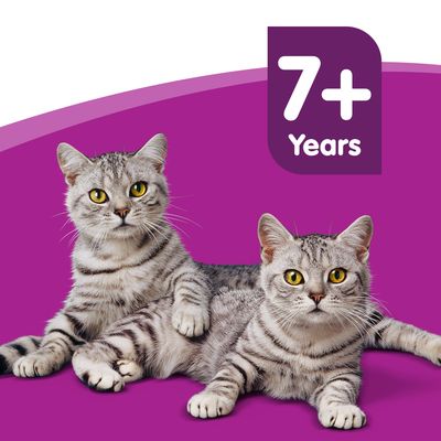 Whiskas 7+ Senior, Fisk i gelé