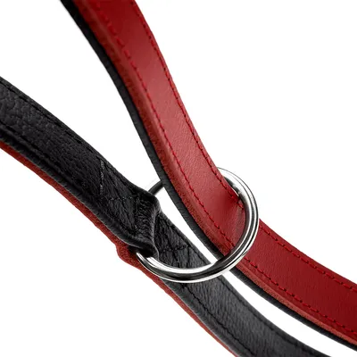 Nahaufnahme eines Hundehalsbands aus schwarzem und rotem Leder mit silbernem Metallring.