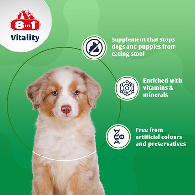 8in1 Vitality Deter Daily Supplement, behavioural aid, 100 tablets. Green label with dog image and symbol against unwanted behaviour.