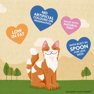 Key features shown: no artificial colours or preservatives, low in fat, made with natural fish, built-in spoon for less mess.