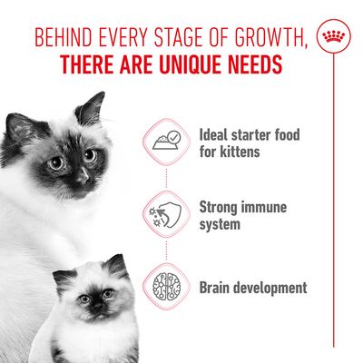 Behind every stage of growth, there are unique needs. Ideal starter food for kittens, strong immune system, brain development.