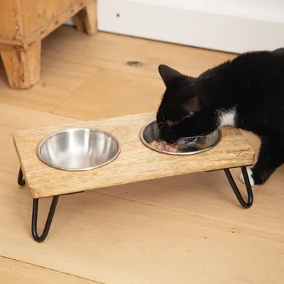Chat noir et blanc mangeant dans une gamelle double en acier inoxydable sur support en bois avec pieds métalliques, une gamelle vide et une contenant de la nourriture humide.