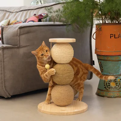 Red tomcat playing with a scratching post made of three sisal balls and a wooden base, including a yellow play ball.
