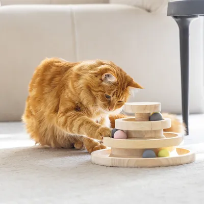 Wooden toy with multiple levels and colourful balls, demonstrated by a cat. Promotes dexterity and play.