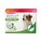 beaphar SPOT-ON für kleine Hunde Sparpaket: 6 Pipetten x 1 ml