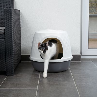 Maison de toilette pour chat en plastique gris et blanc, chat noir et blanc sortant par l’ouverture avant. Sol carrelé, mobilier en rotin visible à gauche.