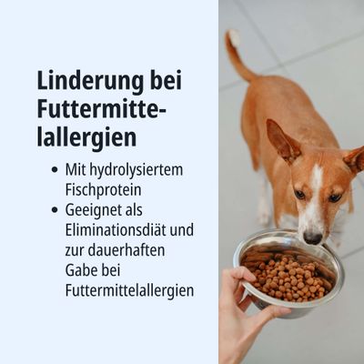 Linderung bei Futtermittelallergien mit hydrolysiertem Fischprotein. Geeignet als Eliminationsdiät und zur dauerhaften Gabe bei Futtermittelallergien.