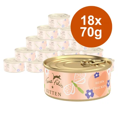 Lot de 18 boîtes Terra Felis Kitten, saveur Huhn Chicken, 70 g chacune. Texte visible : Terra Felis, KITTEN, HUHN CHICKEN, 18x70g.