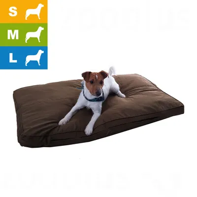 Chien blanc et marron allongé sur un coussin brun, pictogrammes indiquant tailles S, M, L pour chiens en haut à gauche.