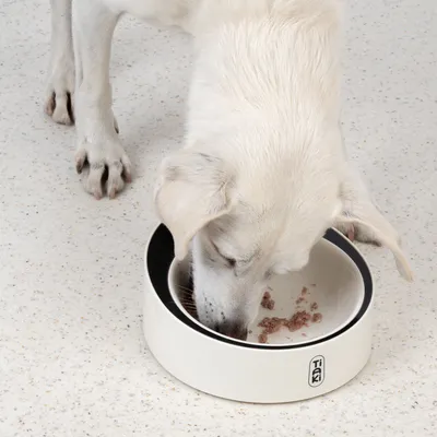 White feeding bowl with Tiaki logo, filled with food on a light surface.