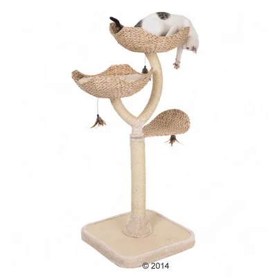 zooplus Exclusive Kratzbaum Cat´s Flower - Gesamthöhe 130 cm
