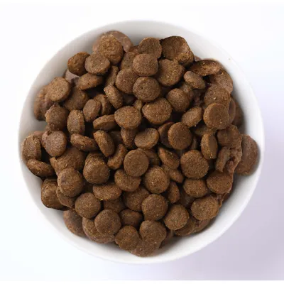 Schale mit braunen, runden Trockenfutter-Pellets. Produktabbildung zur Ansicht der Futterform und -größe.
