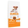 IAMS Advanced Nutrition Puppy & Junior Small / Medium Kip Hondenvoer 12 kg
