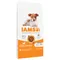 12kg IAMS Advanced Nutrition Dry Dog Food - 10kg + 2kg Free! * Puppy & Junior Small & Medium Dog - Chicken (12kg)