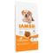 IAMS Advanced Nutrition Puppy & Junior Large Dog - Chicken Multibuy: 2 x 12kg