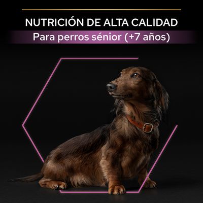 NUTRICIÓN DE ALTA CALIDAD. Para perros sénior (+7 años). Perro salchicha marrón sentado con collar marrón sobre fondo negro.