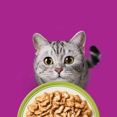 Whiskas Senior tasakos 84 x 85 g