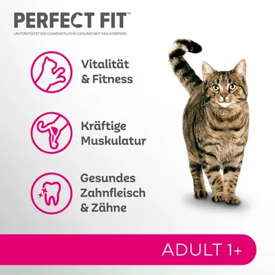 PERFECT FIT, Vitalität & Fitness, Kräftige Muskulatur, Gesundes Zahnfleisch & Zähne, ADULT 1+ (texte en allemand) avec un chat tigré debout à droite.