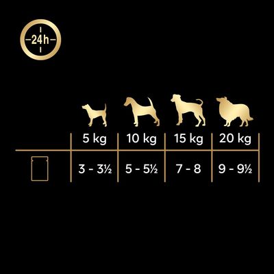 Cesar Mega Pack, 40x100g, Senior 10+ in gelatina. Varietà: riso e carne. 100% completo, preparato con ingredienti naturali.