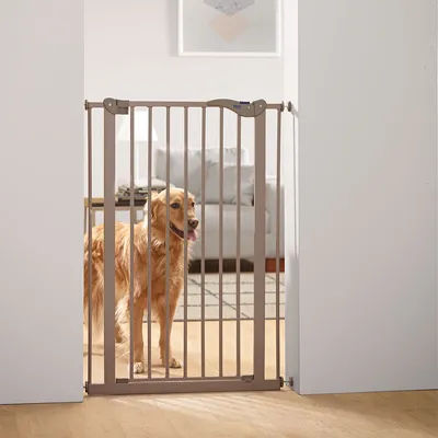 Beige metallgrind installerad mellan två väggar. En hund står bakom i vardagsrummet.