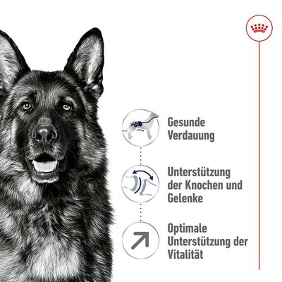 Gesunde Verdauung, Unterstützung der Knochen und Gelenke, Optimale Unterstützung der Vitalität. Royal Canin Logo sichtbar.