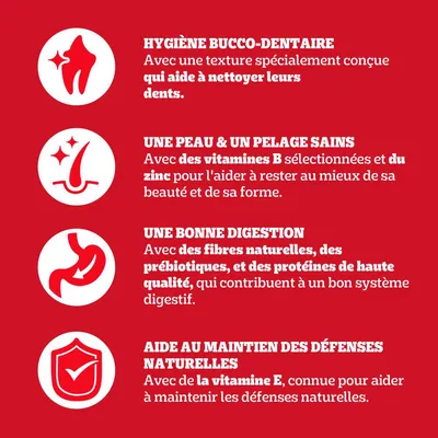 HYGIÈNE BUCCO-DENTAIRE, UNE PEAU & UN PELAGE SAINS, UNE BONNE DIGESTION, AIDE AU MAINTIEN DES DÉFENSES NATURELLES. Texte sur vitamines B, zinc, fibres naturelles, prébiotiques, protéines, vitamine E.