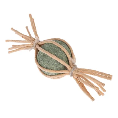Modern Living Catnip Candy Samarkand med kattmynta - 1 st