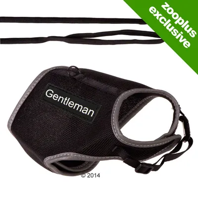 Black harness with grey trim and a patch reading 'Gentleman', shown with matching lead. Green corner label states 'zooplus exclusive'.