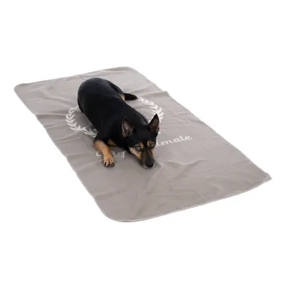 Dog lying on grey blanket with white 'Enjoy your ultimate' lettering and laurel wreath design.