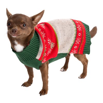Kleine hond draagt een gebreide trui in groen, rood en wit met rendier- en sneeuwvlokkenpatroon.